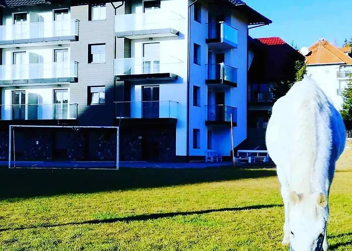 Smile Appartamento *